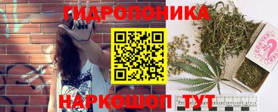 ешки Гусь-Хрустальный