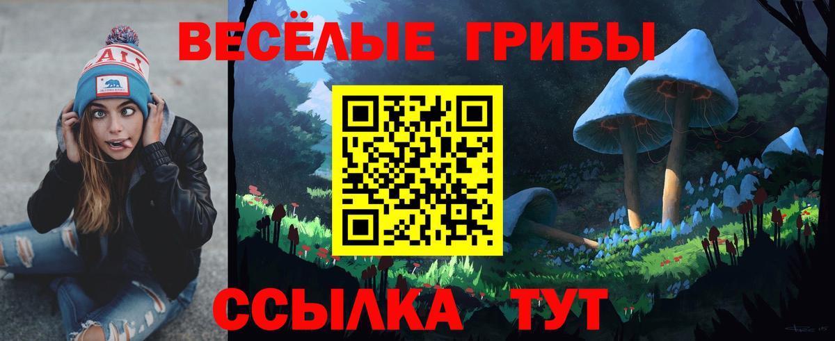 Галлюциногенные грибы Cubensis Россия